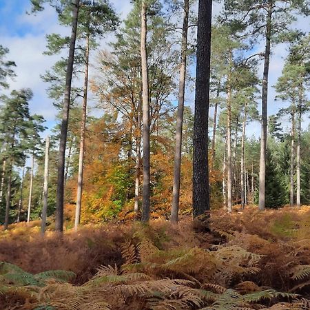 Au Coin Des Fagnes Leilighet Jalhay Eksteriør bilde